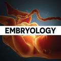 Human Embryology for MBBS