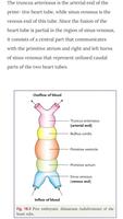 Human Embryology for MBBS capture d'écran 1