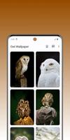برنامه‌نما Owl Archetype عکس از صفحه