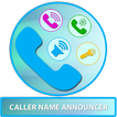 Caller Name Announcer, Flash Alerts