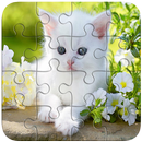 APK Puzzle Cats Game