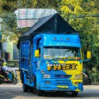 200+ Modifikasi Mobil Truck Canter Booming captura de pantalla 2