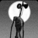 Siren Head Game: Horror Haunted Hospital APK