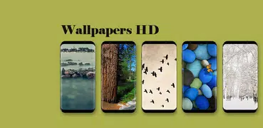 HD Wallpapers 2019, Amazing Wallpapers