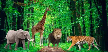 Animal Wallpapers