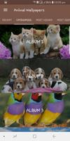 Animal Wallpapers screenshot 1