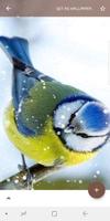 Animal Wallpapers screenshot 2