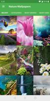 Nature Wallpapers постер