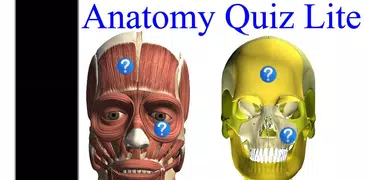 Anatomy Quiz