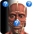 Anatomy Quiz أيقونة