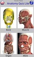 Anatomy Quiz Plakat