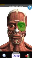 Anatomy Quiz capture d'écran 1