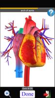 Anatomy Quiz تصوير الشاشة 3