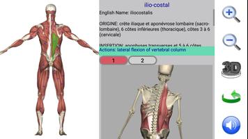 Visual Anatomy 2 capture d'écran 1