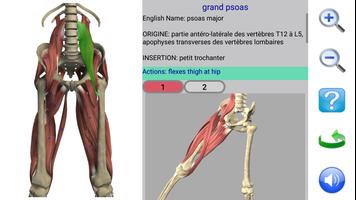 Visual Anatomy 2 capture d'écran 2