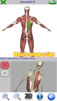 Visual Anatomy 2 ảnh chụp màn hình 1