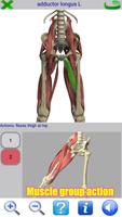 Visual Anatomy 2 imagem de tela 2