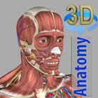 3D Anatomy アイコン