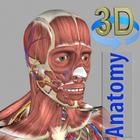 3D Anatomy ikona