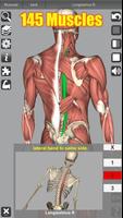 3D Anatomy اسکرین شاٹ 1
