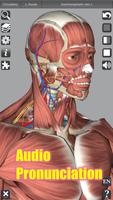 برنامه‌نما 3D Anatomy عکس از صفحه