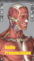3D Anatomy syot layar 2