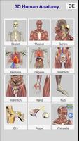 3D Anatomy Plakat