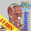 ”3D Bones and Organs (Anatomy)