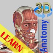 3D Bones and Organs (Anatomy) 图标