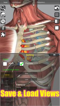 3D Bones and Organs (Anatomy) 截图 3
