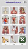 3D Bones and Organs (Anatomy) โปสเตอร์