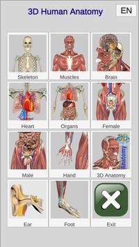3D Bones and Organs (Anatomy) 海报