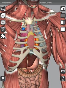 3D Bones and Organs (Anatomy) 截图 11