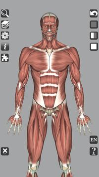 3D Bones and Organs (Anatomy) 截图 1