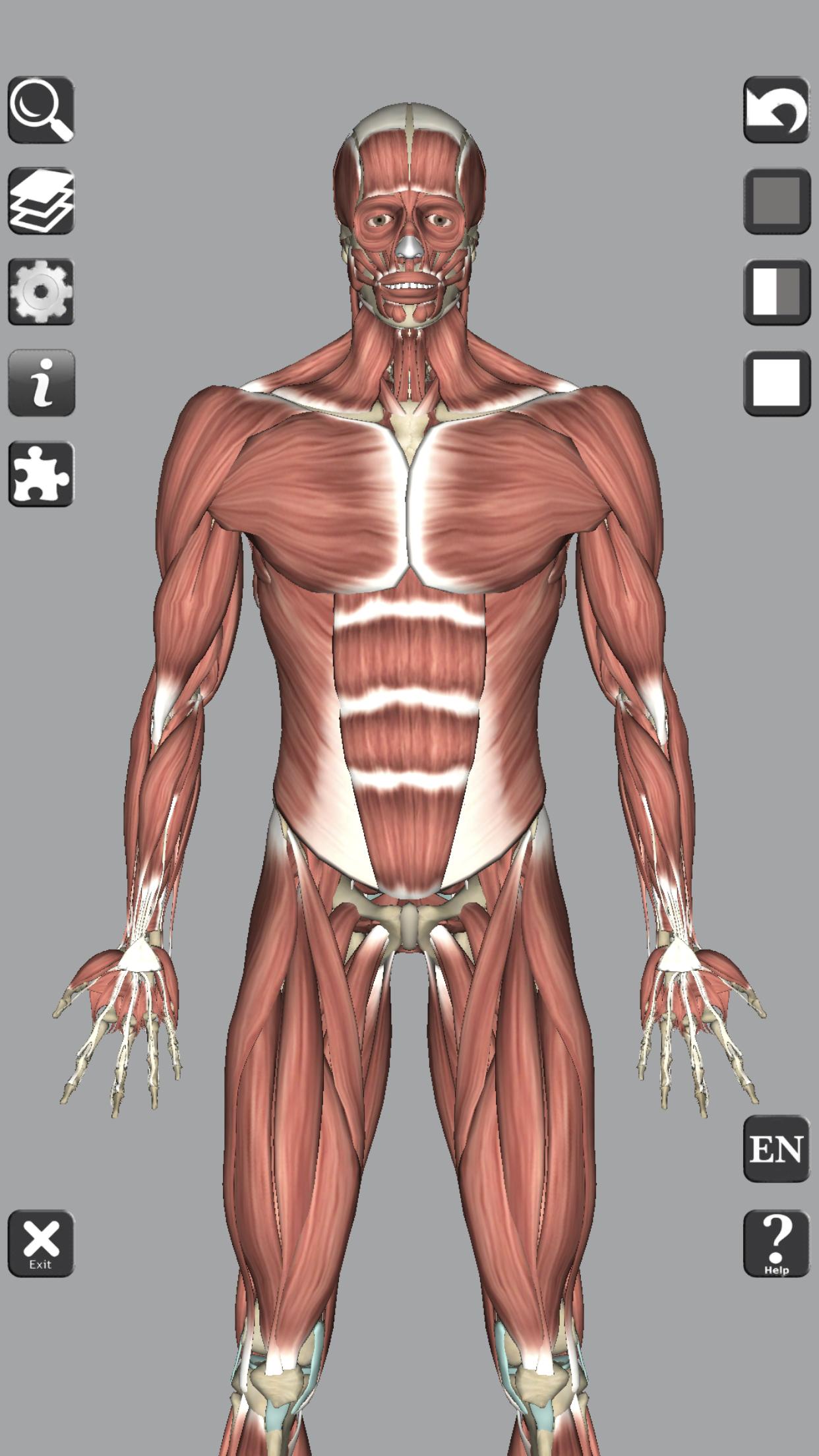 3D Bones and Organs (Anatomy) for Android - APK Download