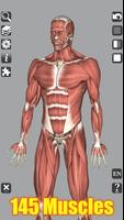 3D Bones and Organs (Anatomy) ảnh chụp màn hình 1