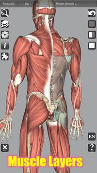 3D Bones and Organs (Anatomy) 截图 2