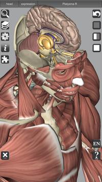 3D Bones and Organs (Anatomy) 截图 4