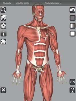 3D Bones and Organs (Anatomy) 截图 9