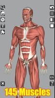 3D Bones and Organs (Anatomy) capture d'écran 1