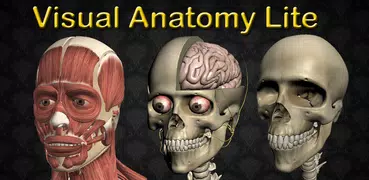 Visual Anatomy Lite