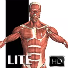 Visual Anatomy Lite アプリダウンロード