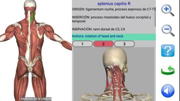 Visual Anatomy Lite captura de pantalla 1