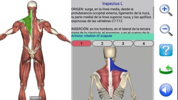 Visual Anatomy Lite captura de pantalla 2