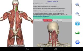 Visual Anatomy Lite capture d'écran 1