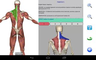 Visual Anatomy Lite capture d'écran 2