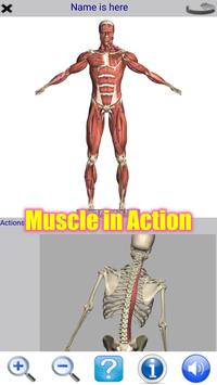 Visual Anatomy Free 海报