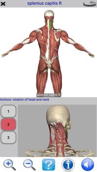 Visual Anatomy Free 截图 1