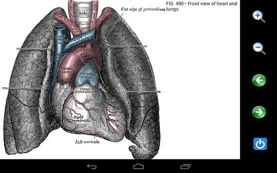 Visual Anatomy Free 截图 22