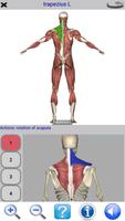 Visual Anatomy Lite imagem de tela 2